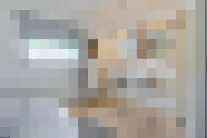 Olmenstraat 2 Halsteren thumbnail 31