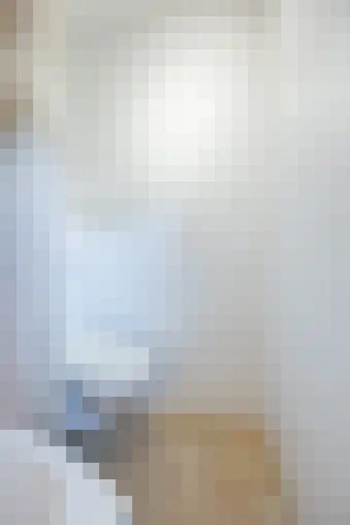 Olmenstraat 2 Halsteren thumbnail 34