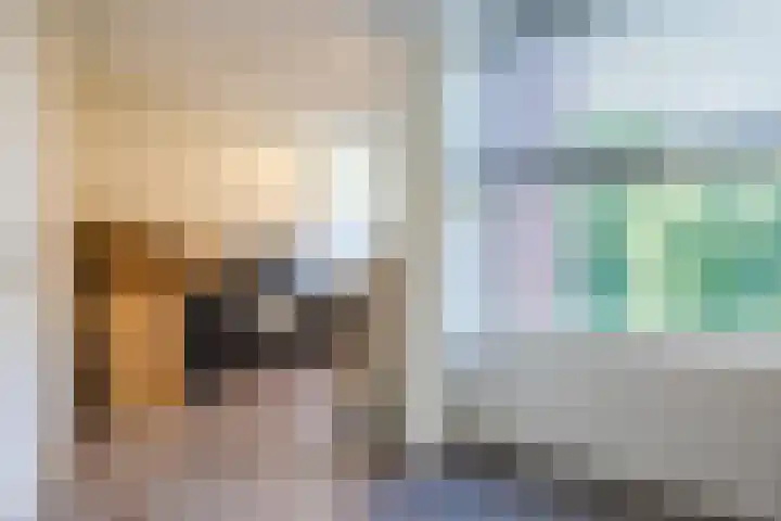 Olmenstraat 2 Halsteren thumbnail 38
