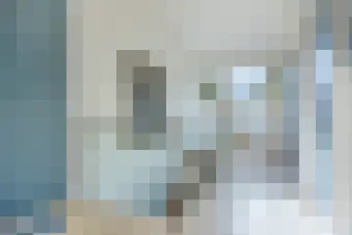 Olmenstraat 2 Halsteren thumbnail 39