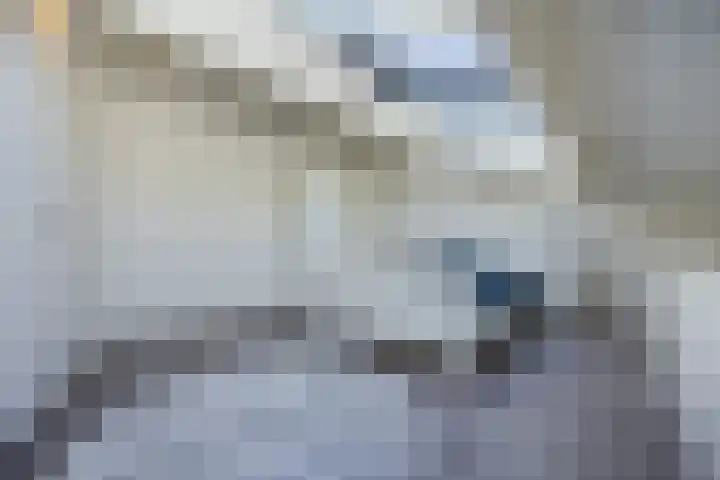 Olmenstraat 2 Halsteren thumbnail 48