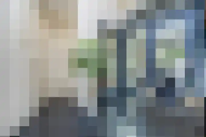 Olmenstraat 2 Halsteren thumbnail 5
