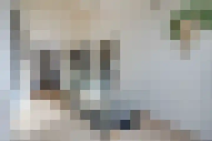 Olmenstraat 2 Halsteren thumbnail 51