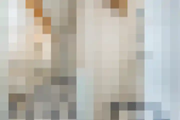 Olmenstraat 2 Halsteren thumbnail 56