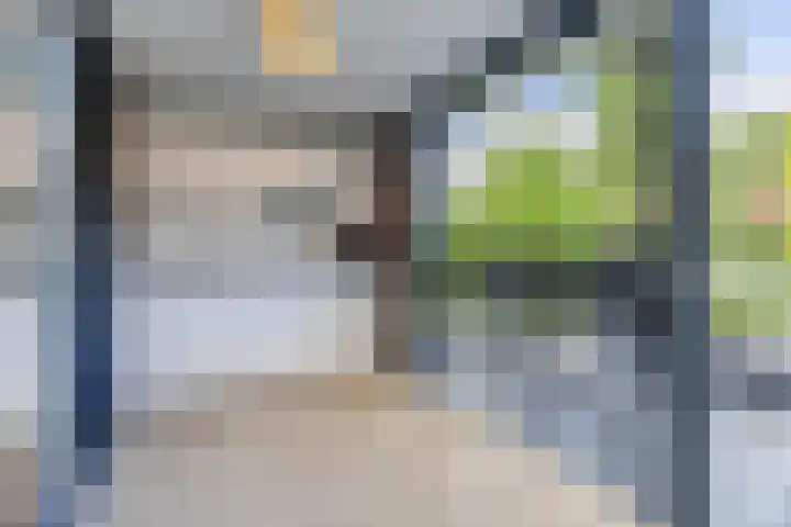 Olmenstraat 2 Halsteren thumbnail 59