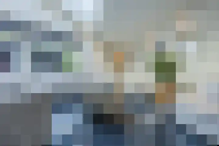 Olmenstraat 2 Halsteren thumbnail 6