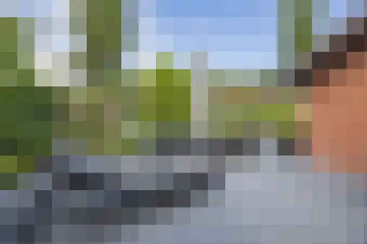 Olmenstraat 2 Halsteren thumbnail 61