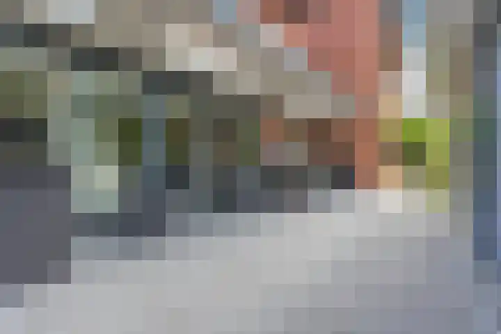 Olmenstraat 2 Halsteren thumbnail 63