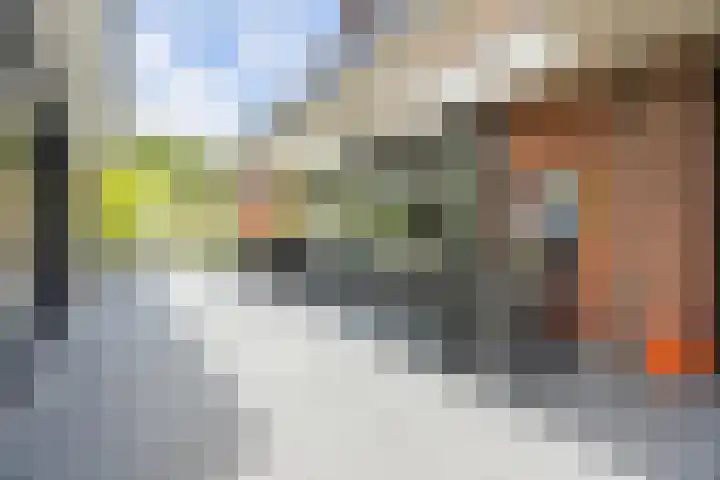 Olmenstraat 2 Halsteren thumbnail 64