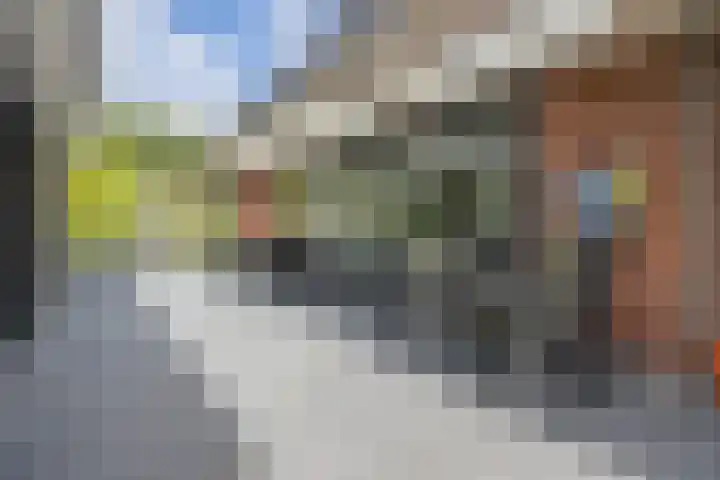 Olmenstraat 2 Halsteren thumbnail 65