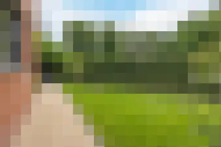 Olmenstraat 2 Halsteren thumbnail 66
