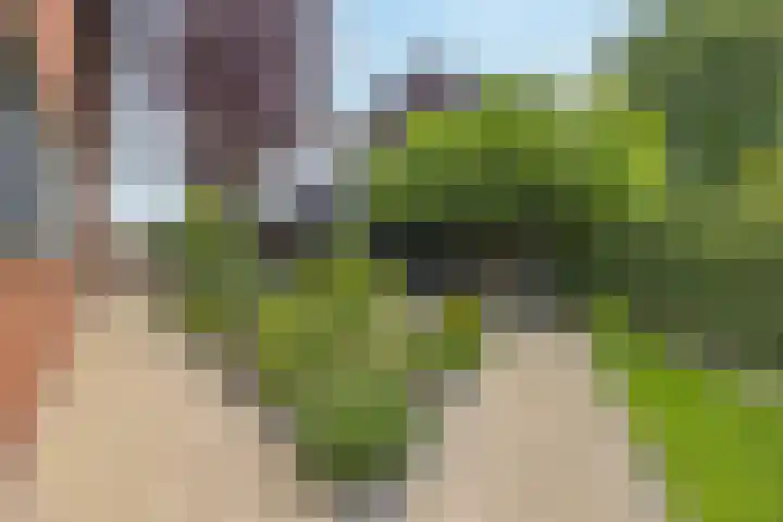 Olmenstraat 2 Halsteren thumbnail 67