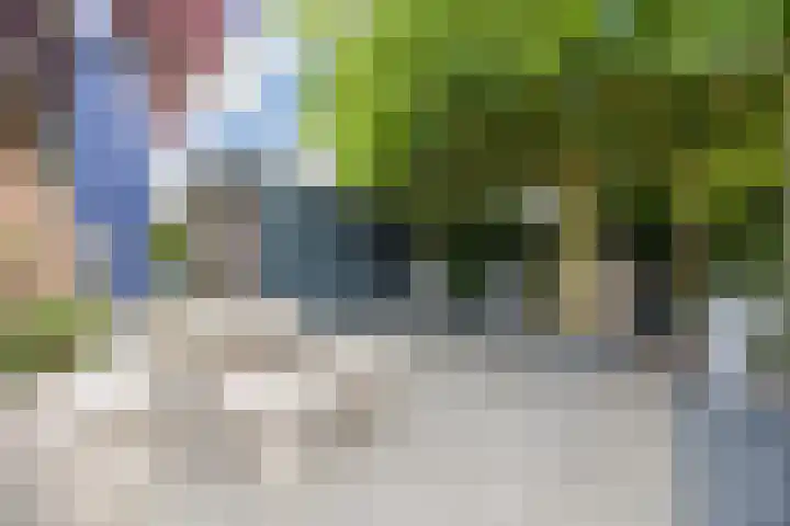 Olmenstraat 2 Halsteren thumbnail 68