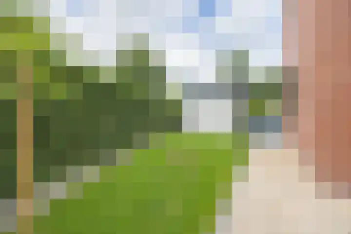 Olmenstraat 2 Halsteren thumbnail 69