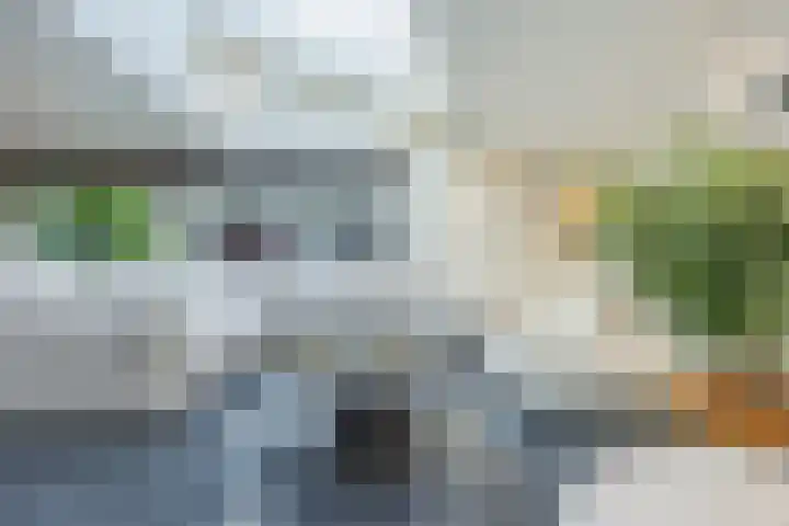Olmenstraat 2 Halsteren thumbnail 7