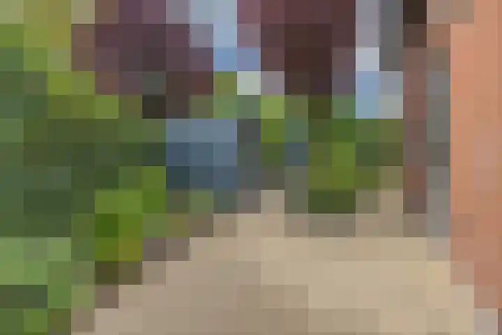 Olmenstraat 2 Halsteren thumbnail 70