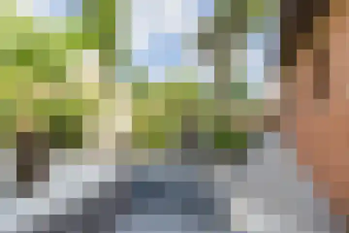 Olmenstraat 2 Halsteren thumbnail 72