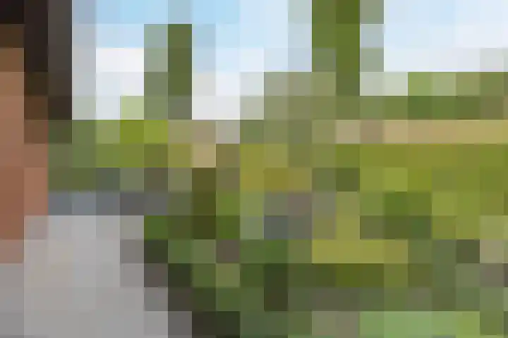 Olmenstraat 2 Halsteren thumbnail 73