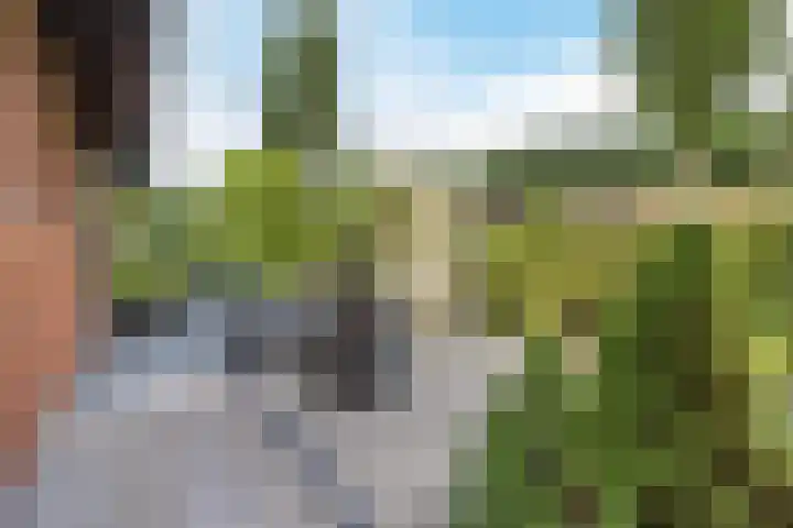 Olmenstraat 2 Halsteren thumbnail 74