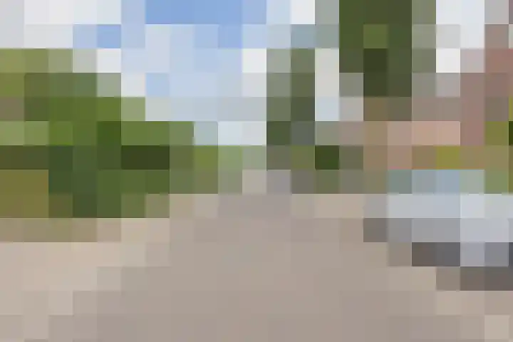 Olmenstraat 2 Halsteren thumbnail 75