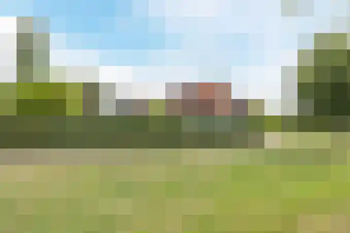 Olmenstraat 2 Halsteren thumbnail 76
