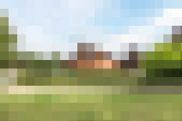Olmenstraat 2 Halsteren thumbnail 77