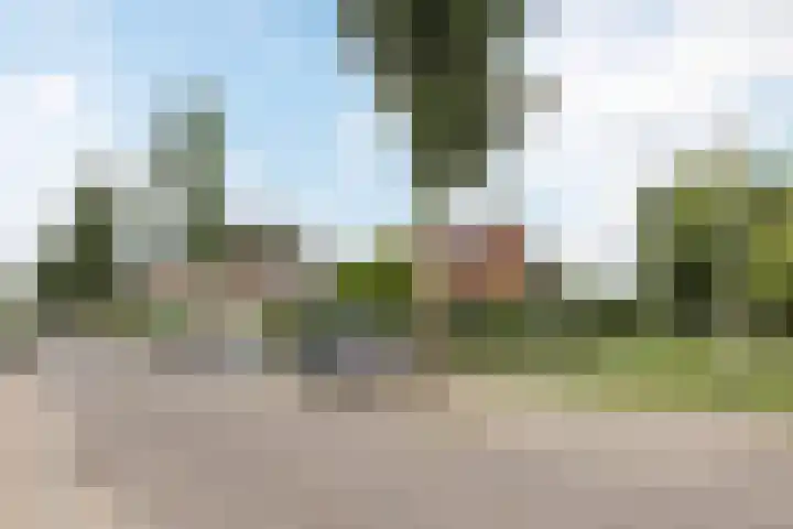Olmenstraat 2 Halsteren thumbnail 78