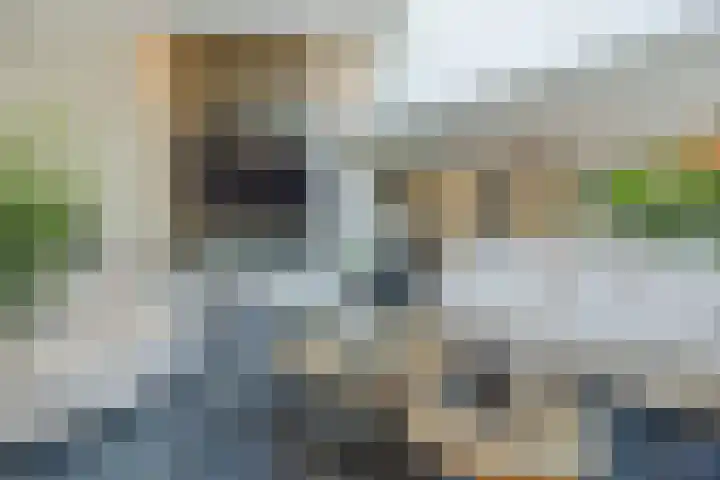 Olmenstraat 2 Halsteren thumbnail 8