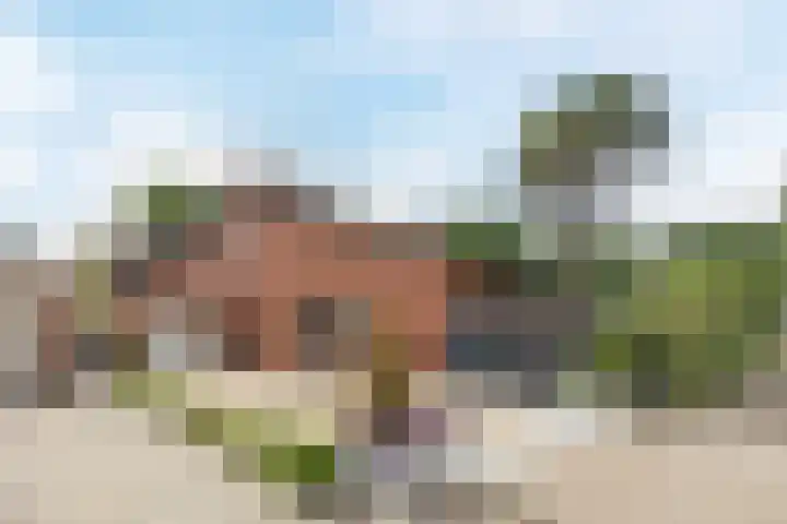 Olmenstraat 2 Halsteren thumbnail 81