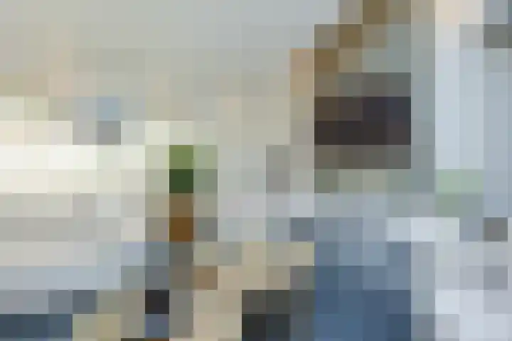 Olmenstraat 2 Halsteren thumbnail 9