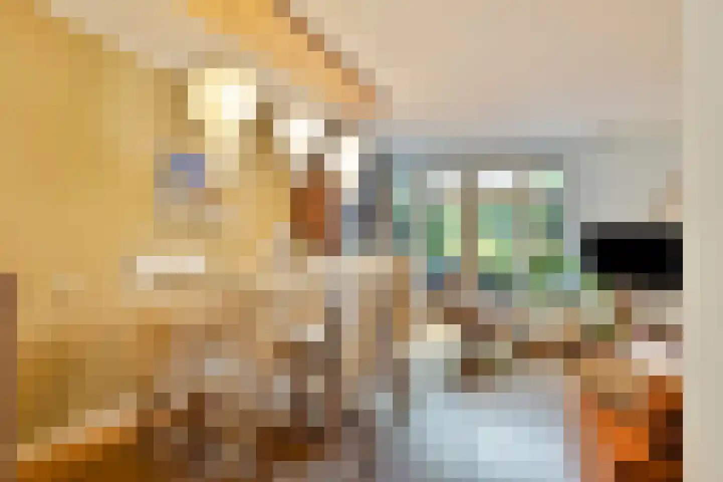 Olmenstraat 24 Halsteren thumbnail 10