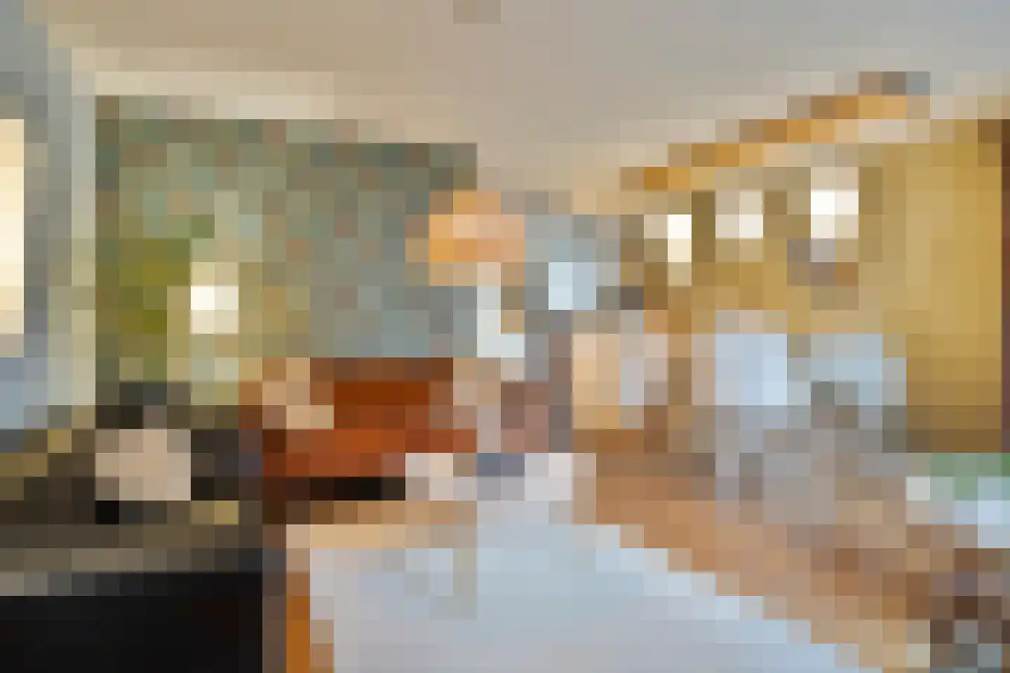 Olmenstraat 24 Halsteren thumbnail 17