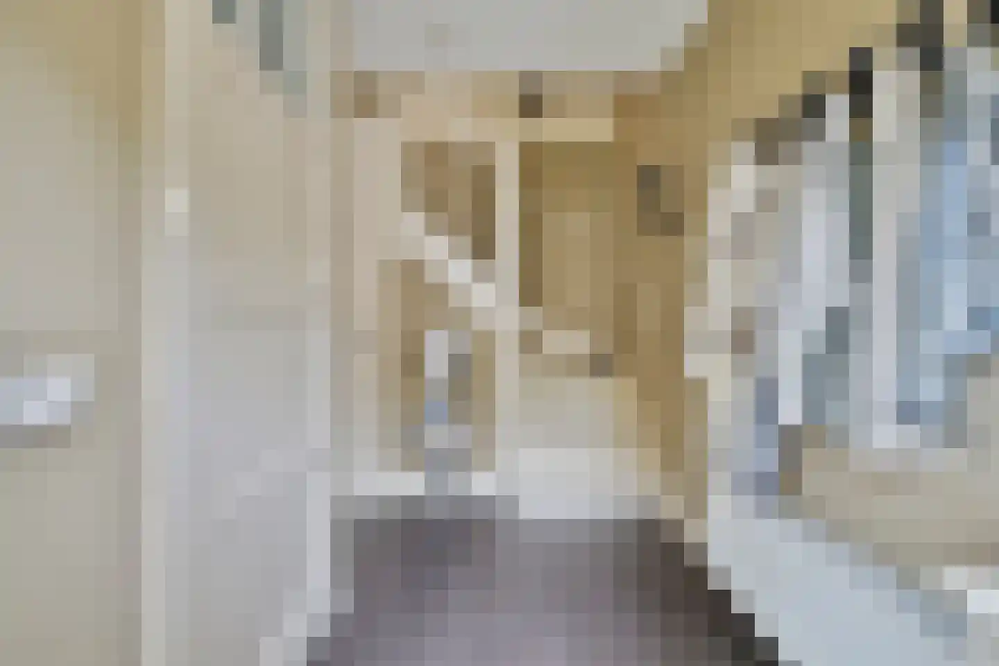 Olmenstraat 24 Halsteren thumbnail 22