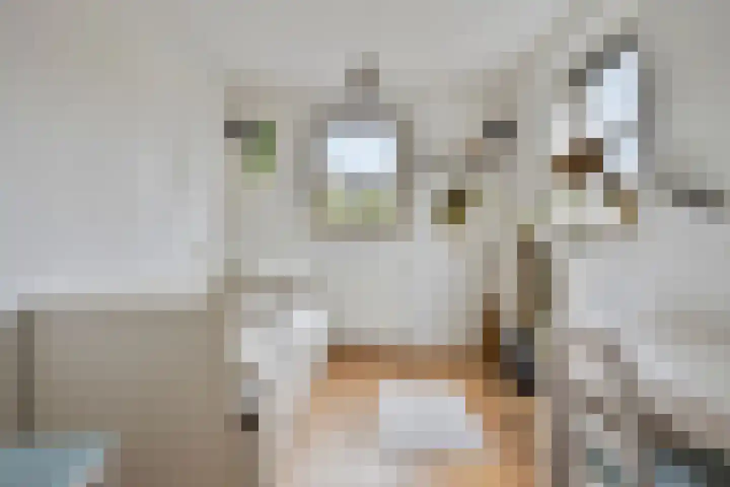 Olmenstraat 24 Halsteren thumbnail 23