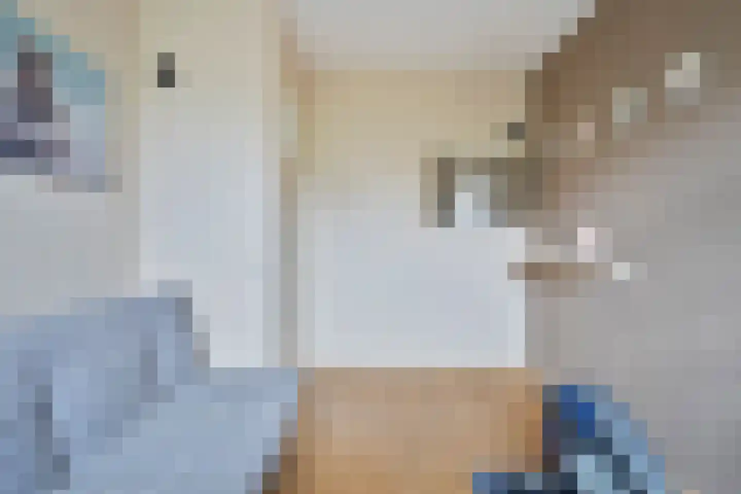 Olmenstraat 24 Halsteren thumbnail 28