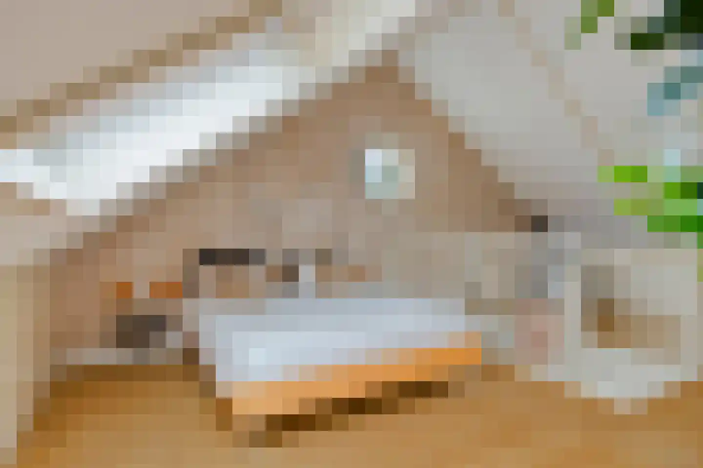 Olmenstraat 24 Halsteren thumbnail 31