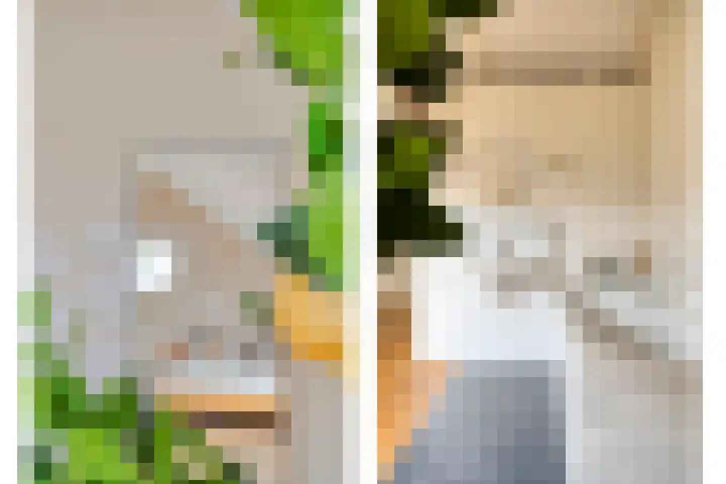 Olmenstraat 24 Halsteren thumbnail 33