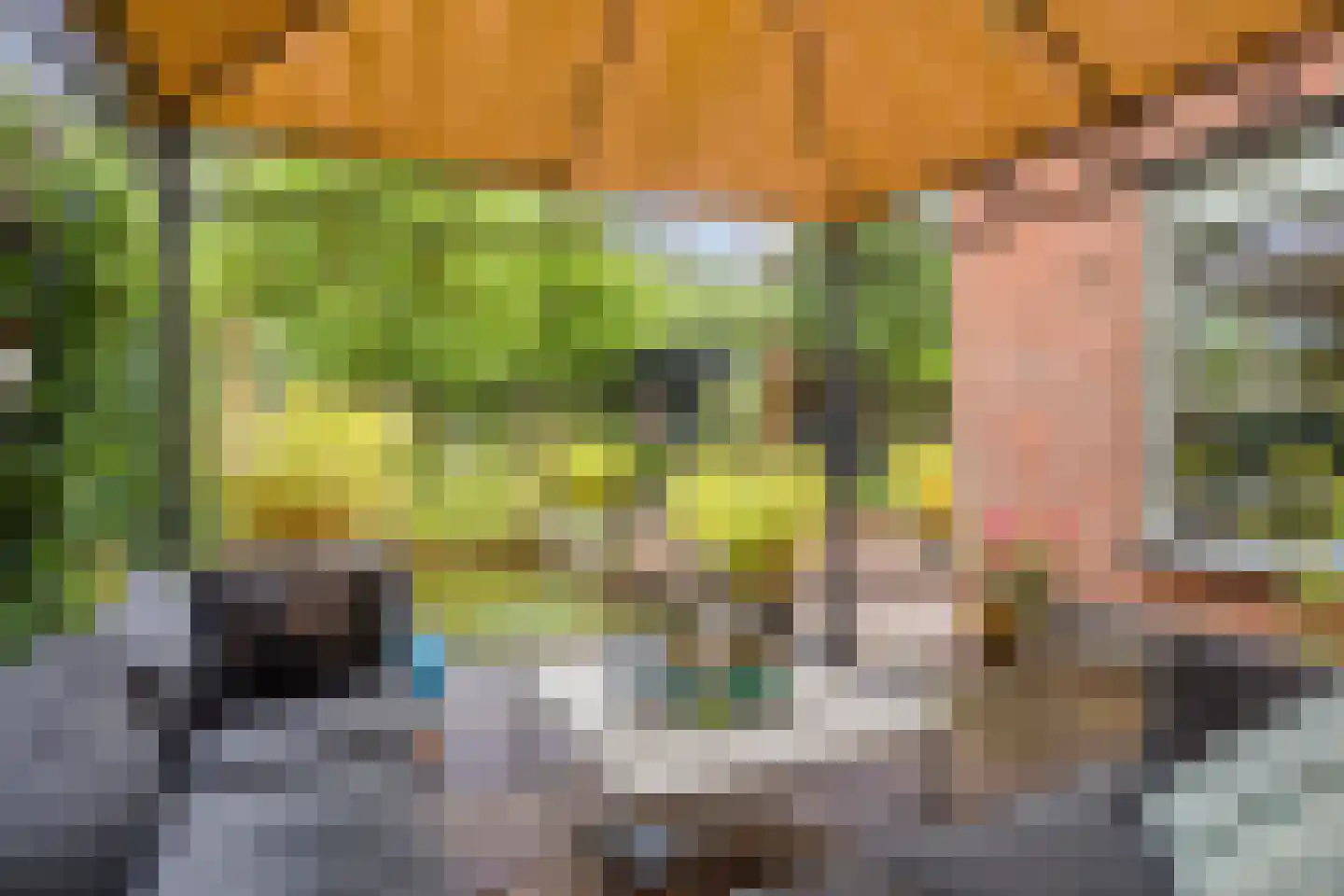 Olmenstraat 24 Halsteren thumbnail 34