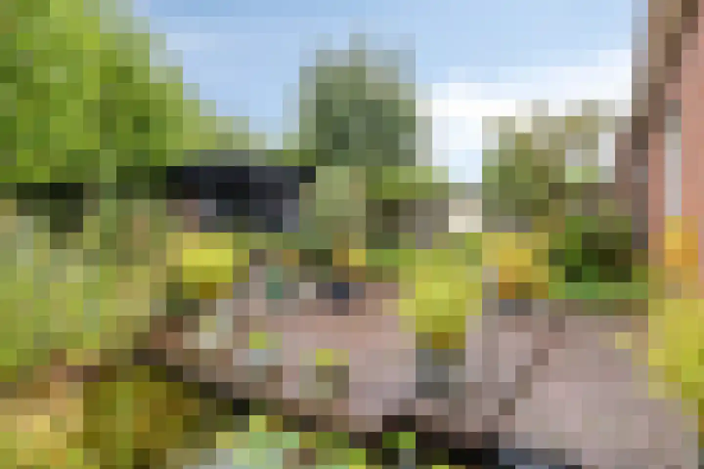Olmenstraat 24 Halsteren thumbnail 36