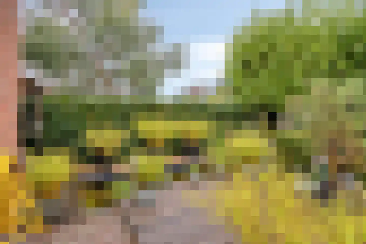 Olmenstraat 24 Halsteren thumbnail 37