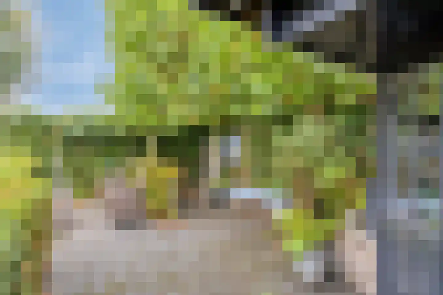 Olmenstraat 24 Halsteren thumbnail 38