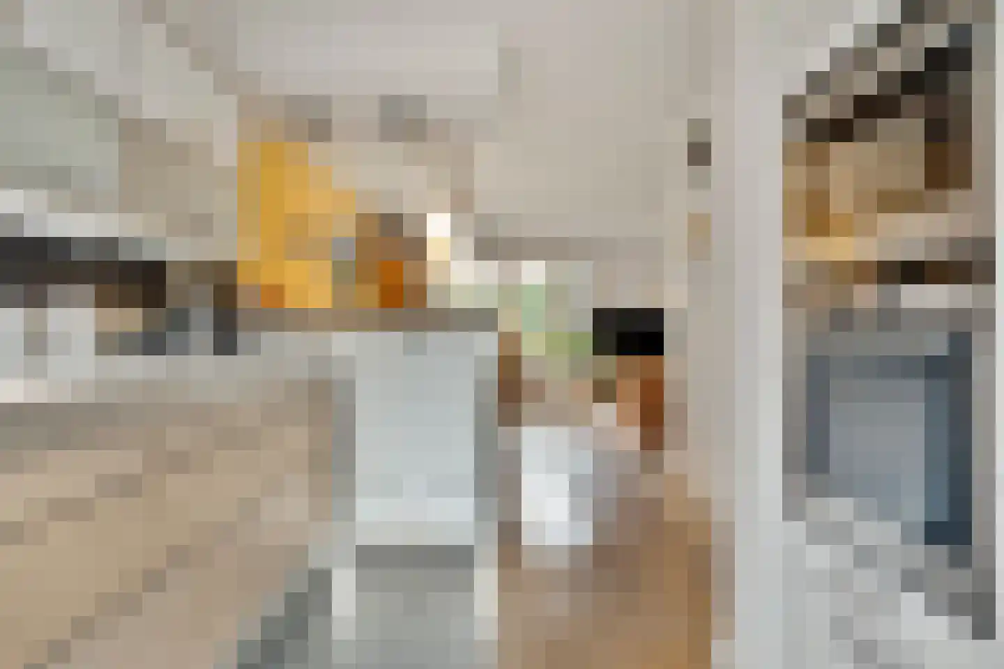 Olmenstraat 24 Halsteren thumbnail 8