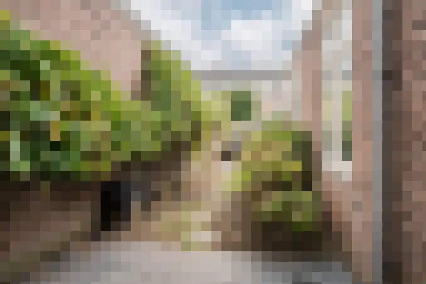 Olmenstraat 26 ZW Haarlem thumbnail 16