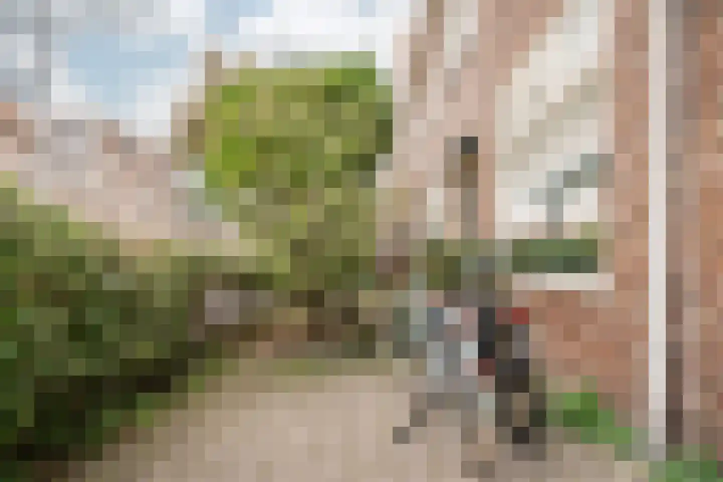 Olmenstraat 26 ZW Haarlem thumbnail 5