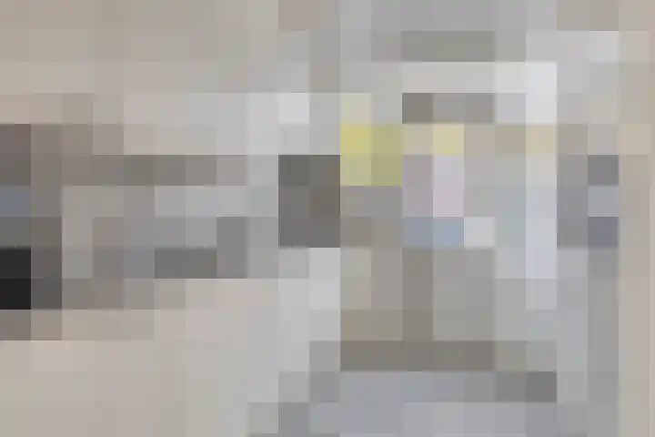 Olmenstraat 27 Vogelwaarde foto 3