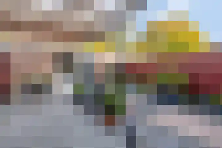 Olmenstraat 27 Vogelwaarde thumbnail 5