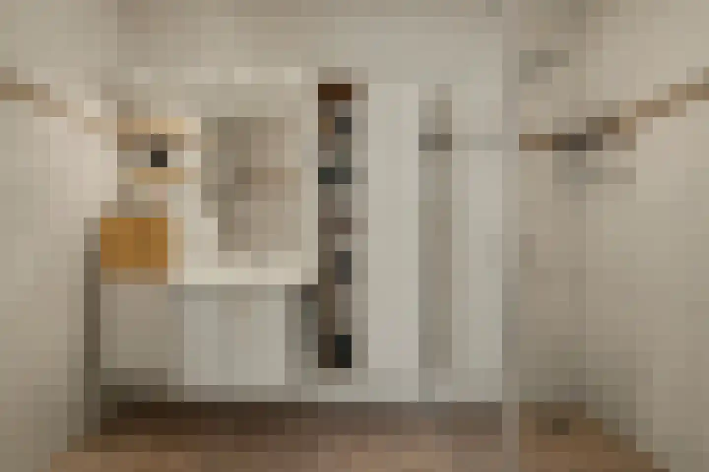 Olmenstraat 3 Oudenbosch thumbnail 20