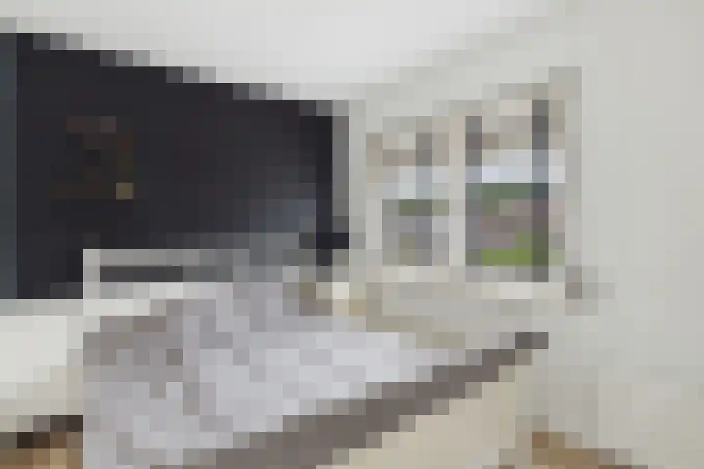 Olmenstraat 30 Vogelwaarde thumbnail 23