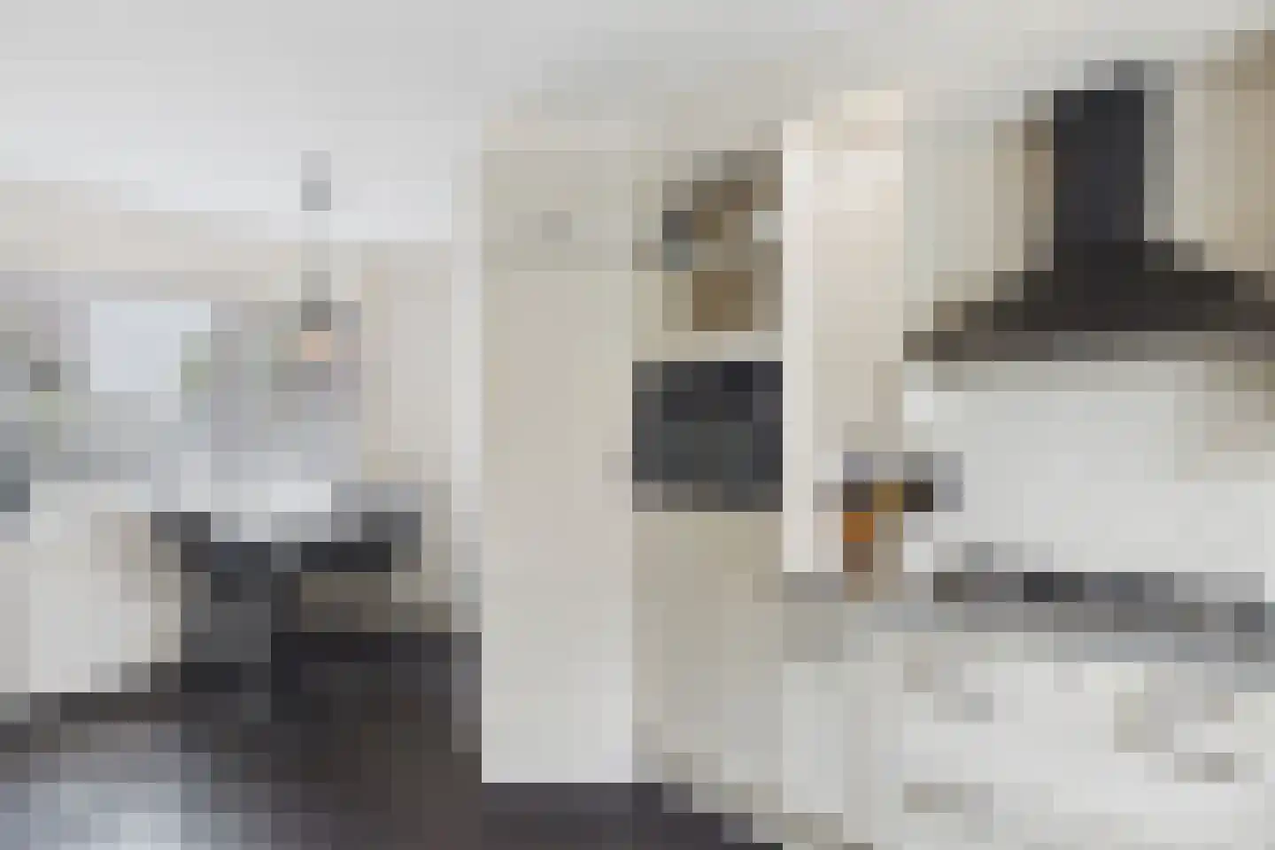 Olmenstraat 30 Vogelwaarde thumbnail 4