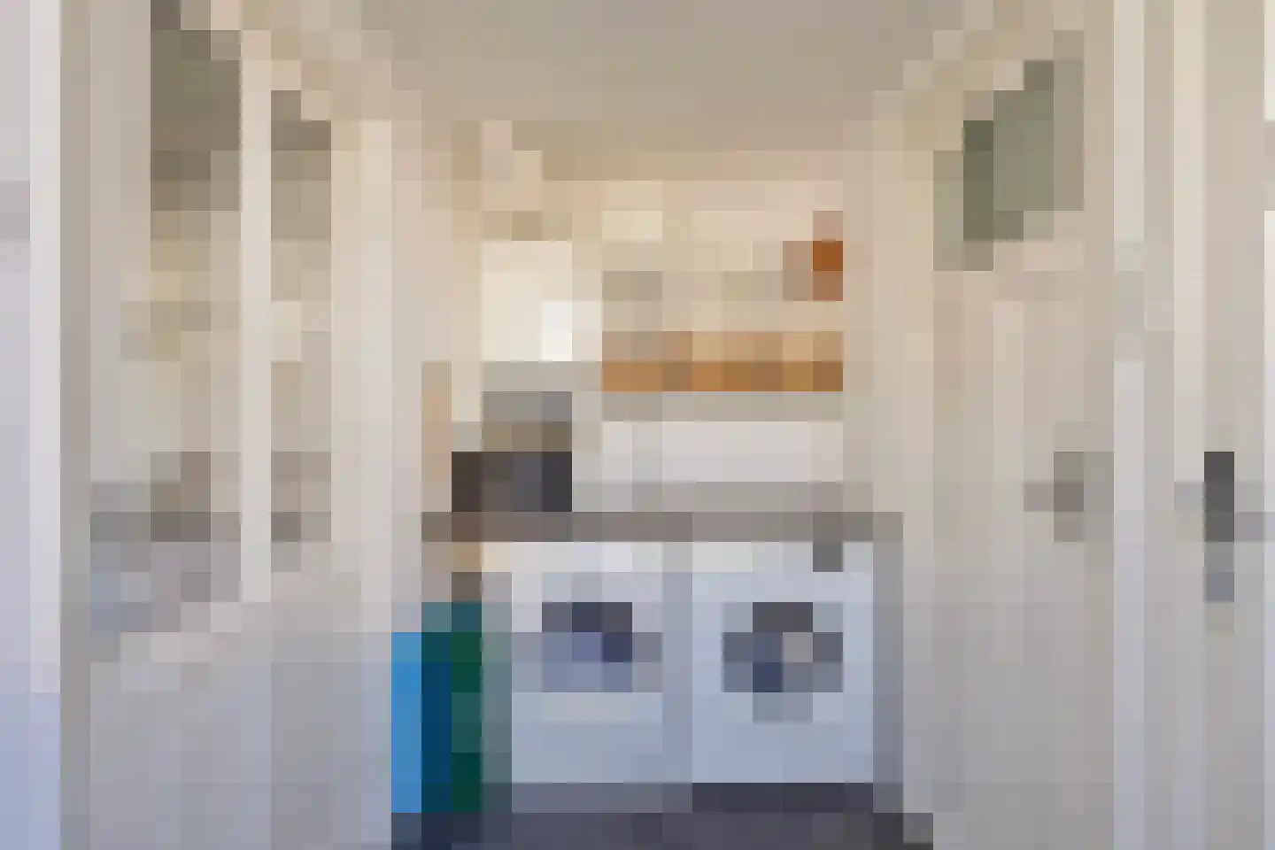 Olmenstraat 32 Tilburg thumbnail 18